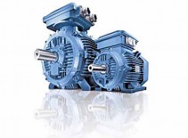 鑄鐵外殼的電機(jī)1LE1 系列電機(jī)的強(qiáng)負(fù)重性